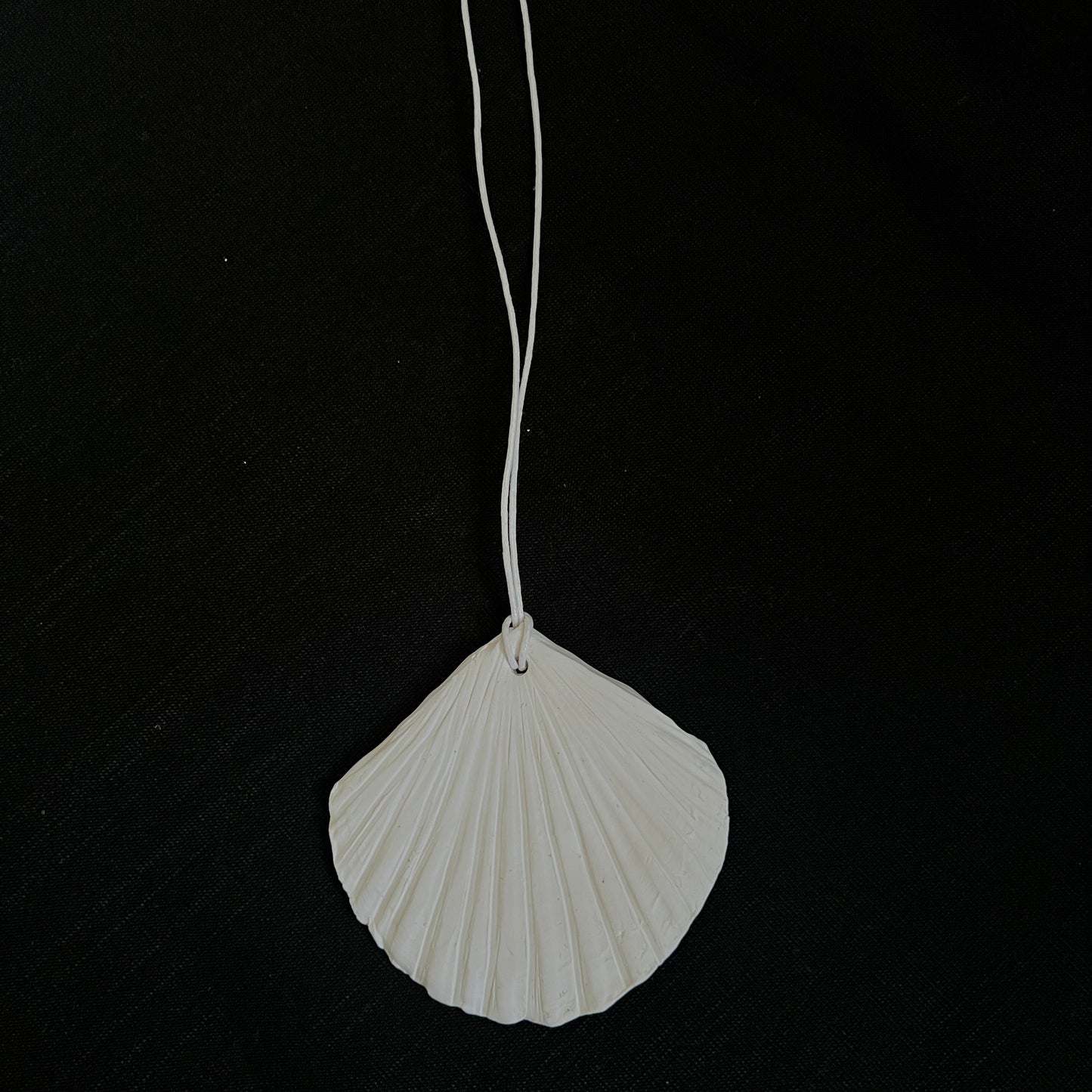 Seashell necklace