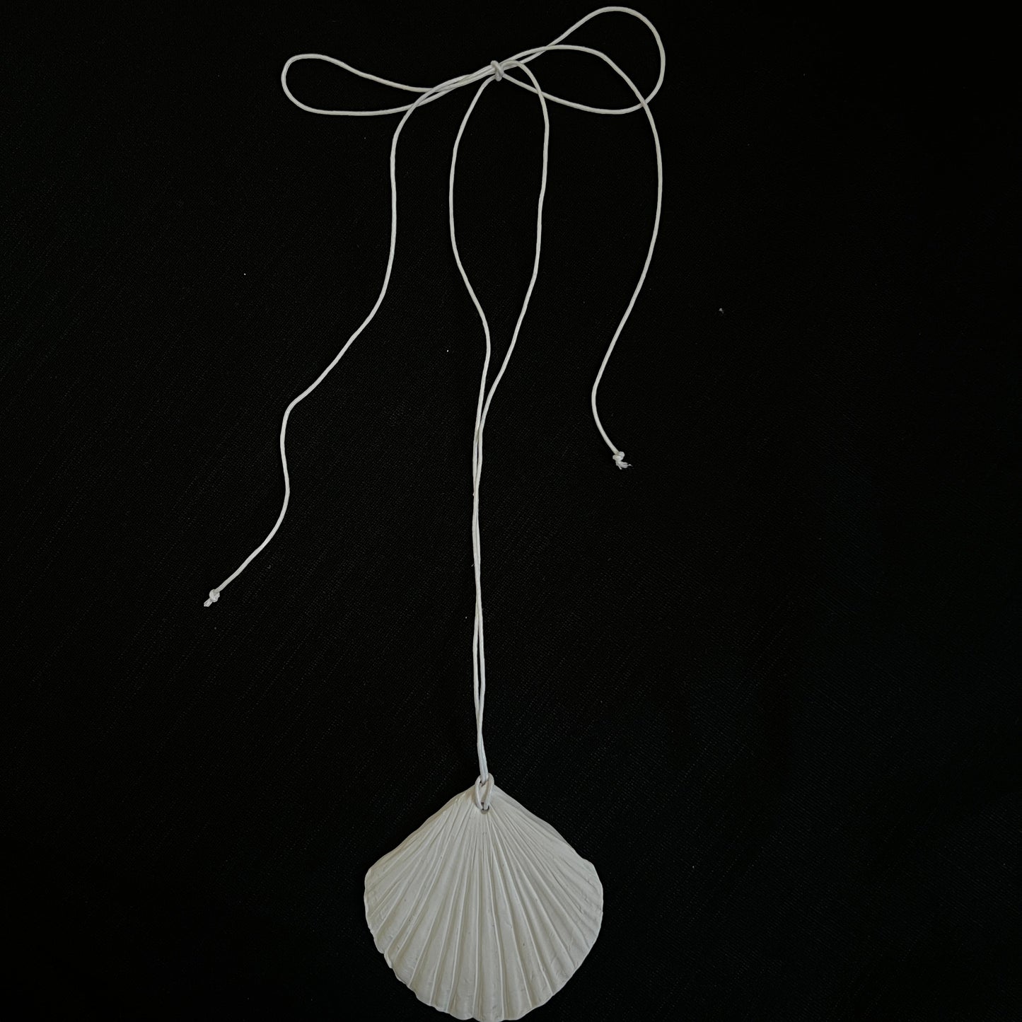 Seashell necklace
