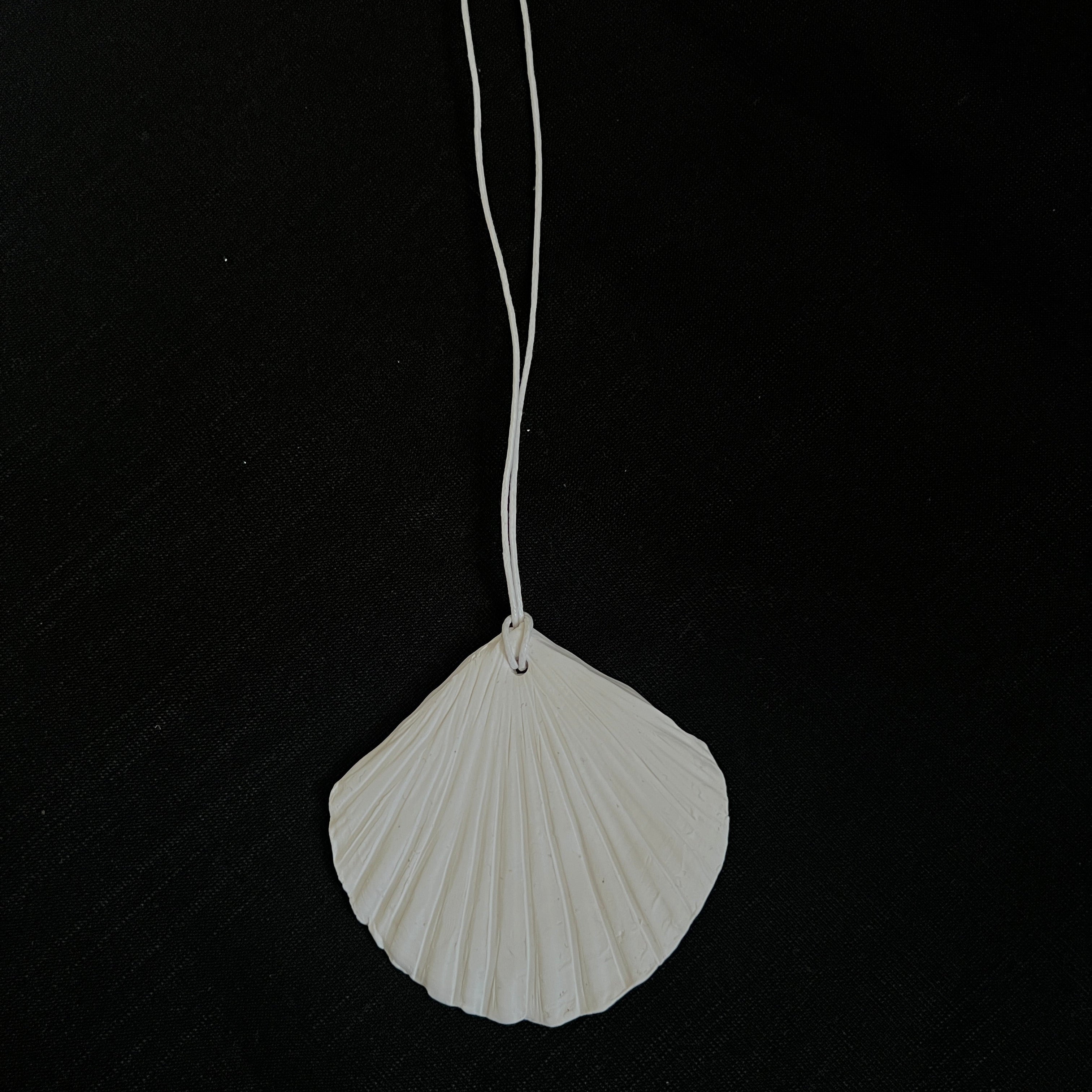 Seashell necklace